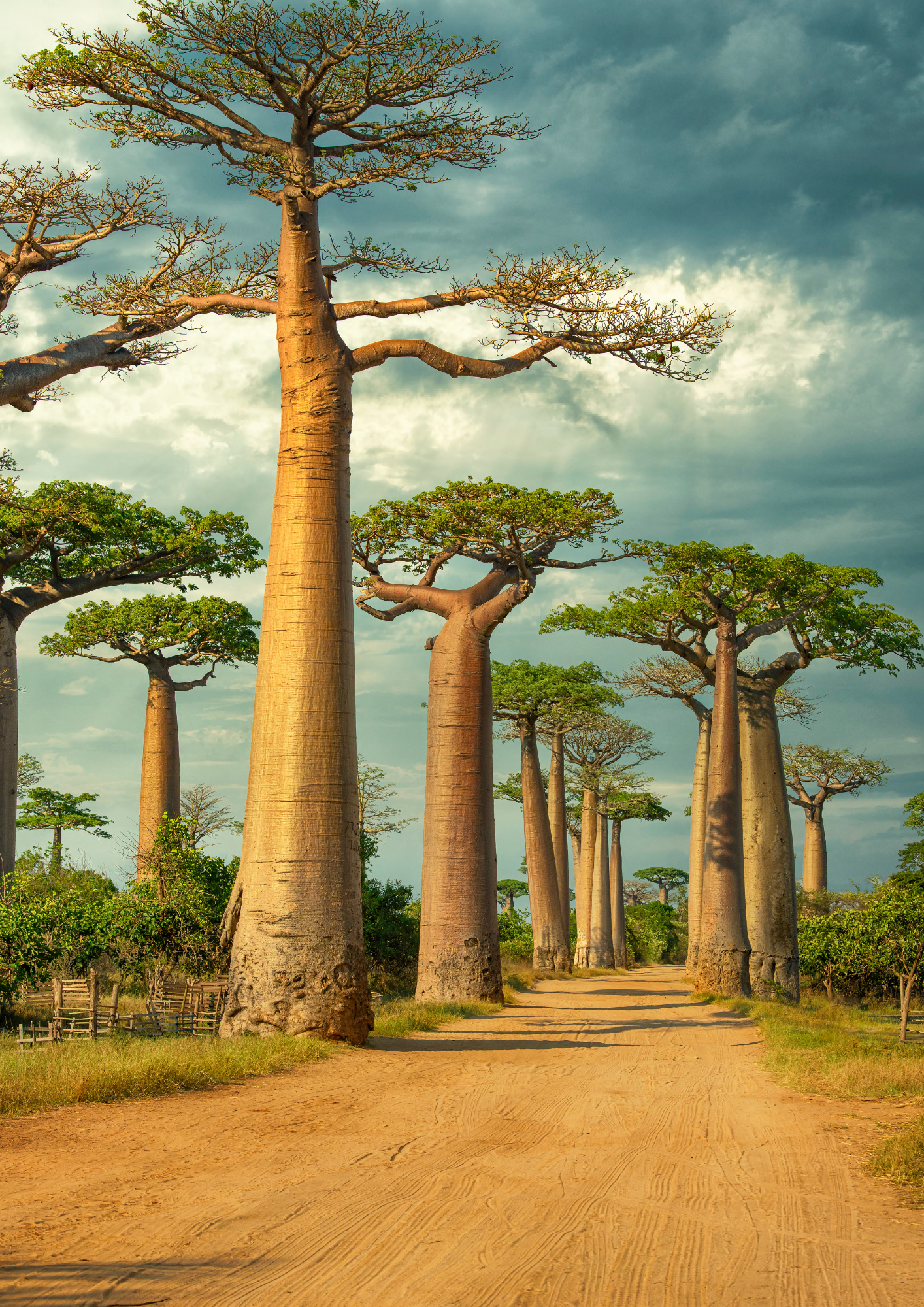 Where to travel in January